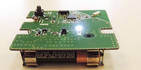 boletus by BIZINTEK1