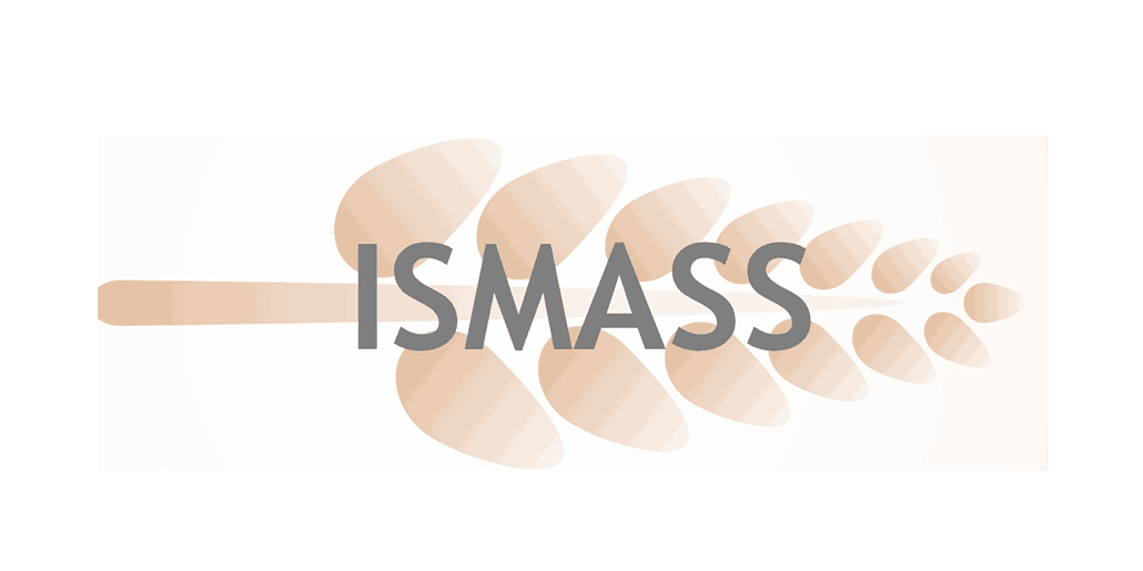 ismass-bizintek-fuera