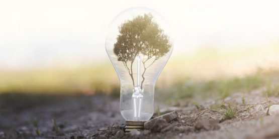 mercado-energetico-aliado-bizintek